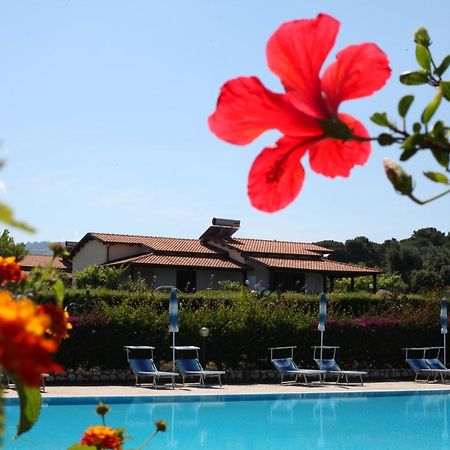 Agriturismo Ninea Ricadi Luaran gambar