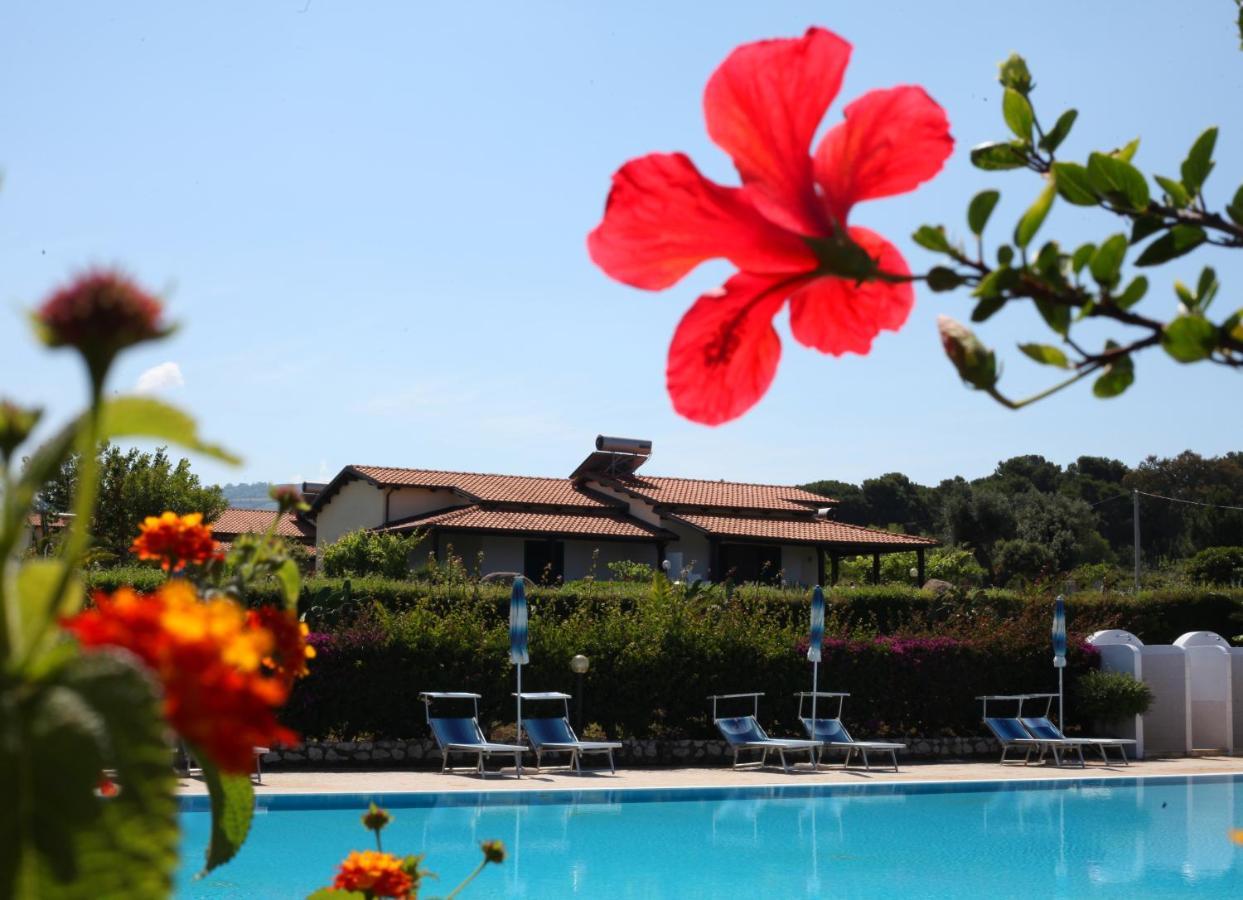Agriturismo Ninea Ricadi Luaran gambar