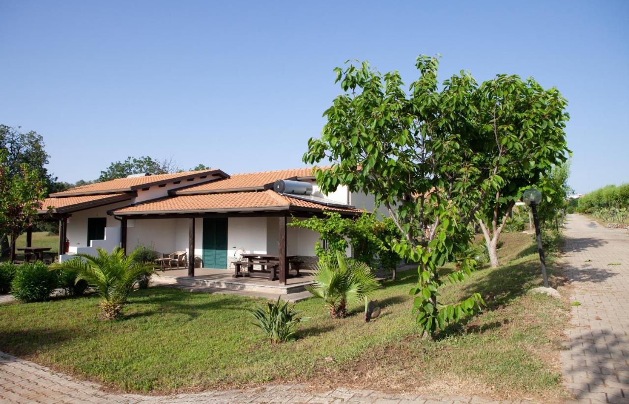 Agriturismo Ninea Ricadi Luaran gambar