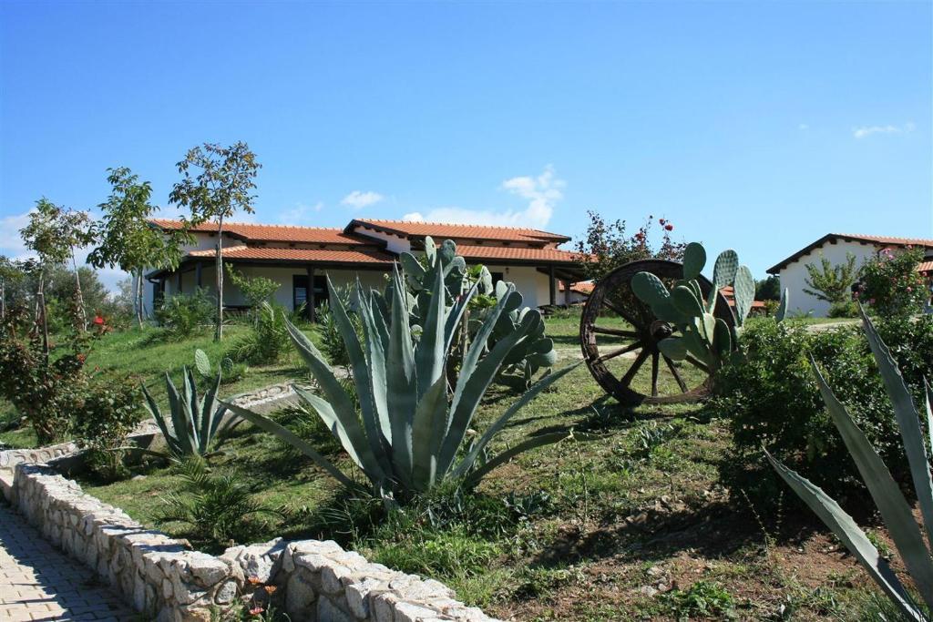 Agriturismo Ninea Ricadi Luaran gambar