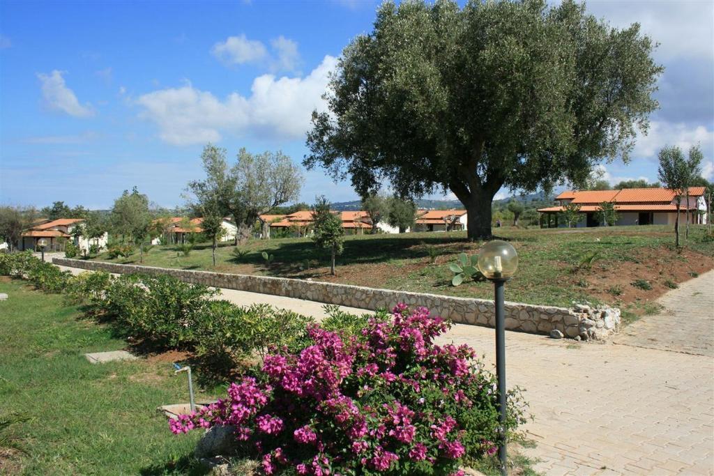 Agriturismo Ninea Ricadi Luaran gambar
