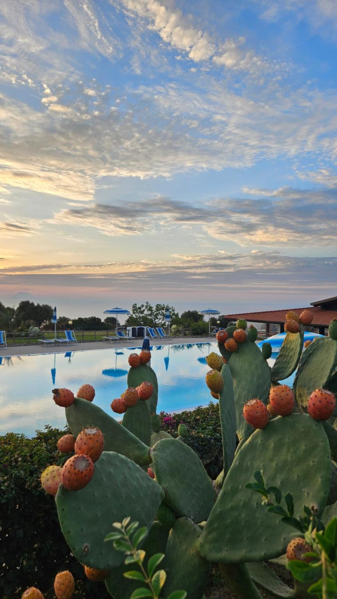 Agriturismo Ninea Ricadi Luaran gambar